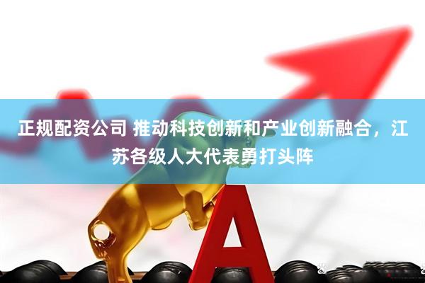正规配资公司 推动科技创新和产业创新融合，江苏各级人大代表勇打头阵